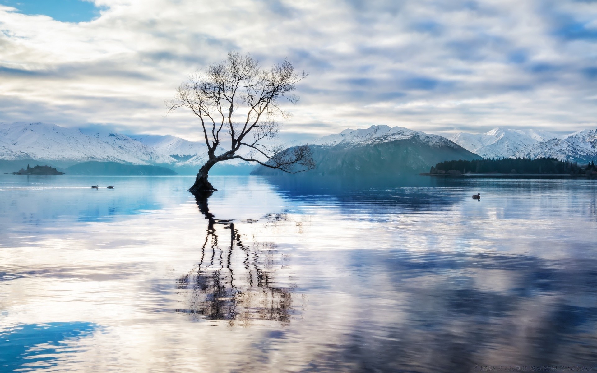 australia and oceania water landscape reflection nature sky travel outdoors seashore sea lake ocean dawn sunset beach