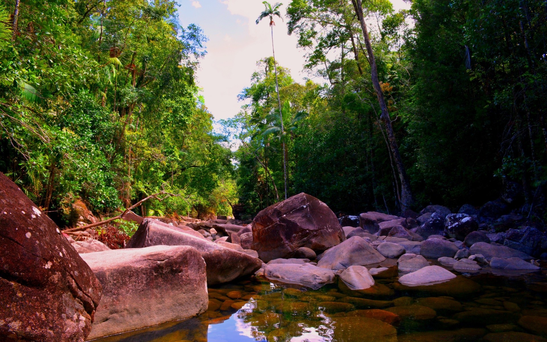 australia i oceania woda natura drewno rzeka drzewo liść krajobraz podróż przepływ środowisko na zewnątrz rock park sceniczny lato las deszczowy wodospad deszcz kamień