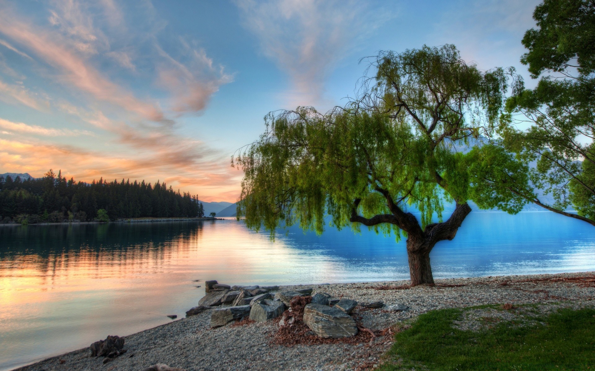 australia and oceania water tree nature landscape sky summer dawn lake travel outdoors sun reflection scenic wood fair weather sunset idyllic evening