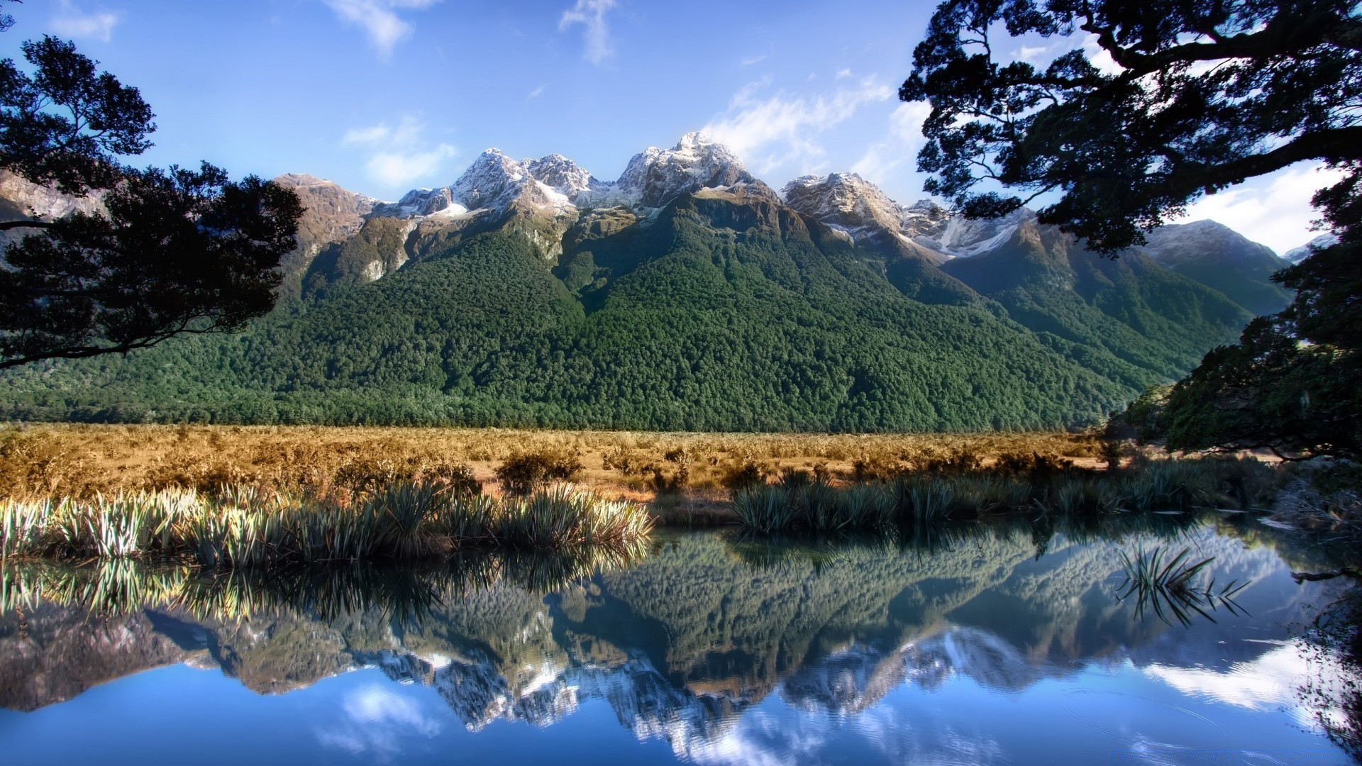 australia and oceania water landscape travel nature sky outdoors mountain scenic wood lake tree reflection river