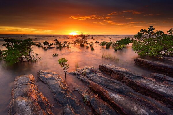 Sunsets and sunrises on wild beaches