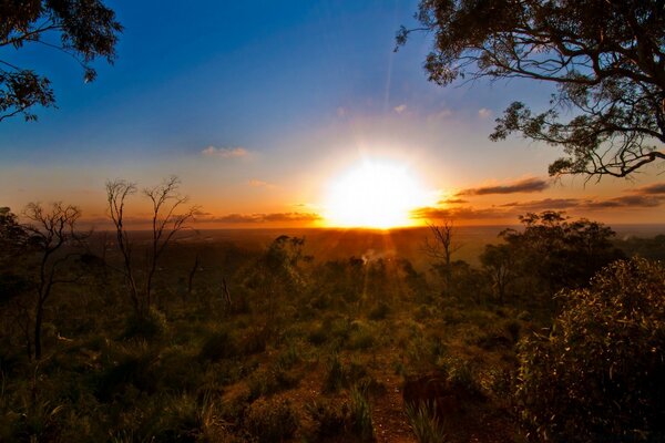 Warmer Sonnenuntergang in der Savanne