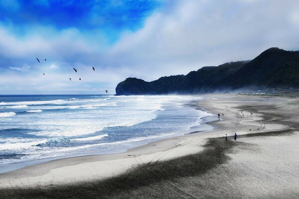 Sea and beach in Australia and Oceania