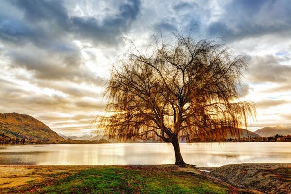 Un árbol solitario cerca de un lago entre las montañas en medio de una puesta de sol