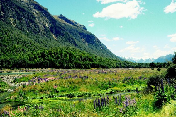 Paisagem colorida montanhas e oceano