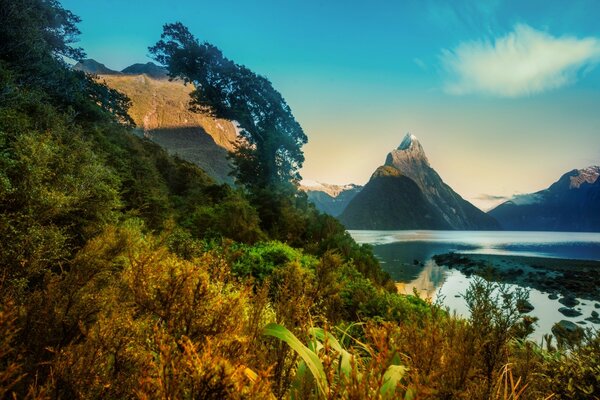 Naturaleza inspiradora bajo el cielo azul