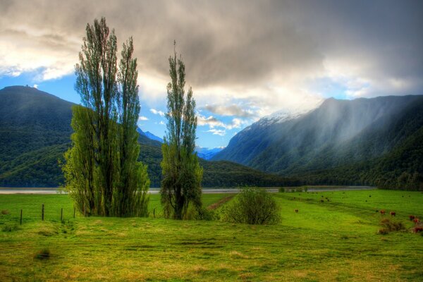 Reisen in Australien entdecken die Welt neu