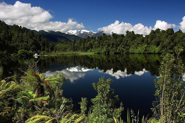 Forêt verte, beau lac et ciel bleu