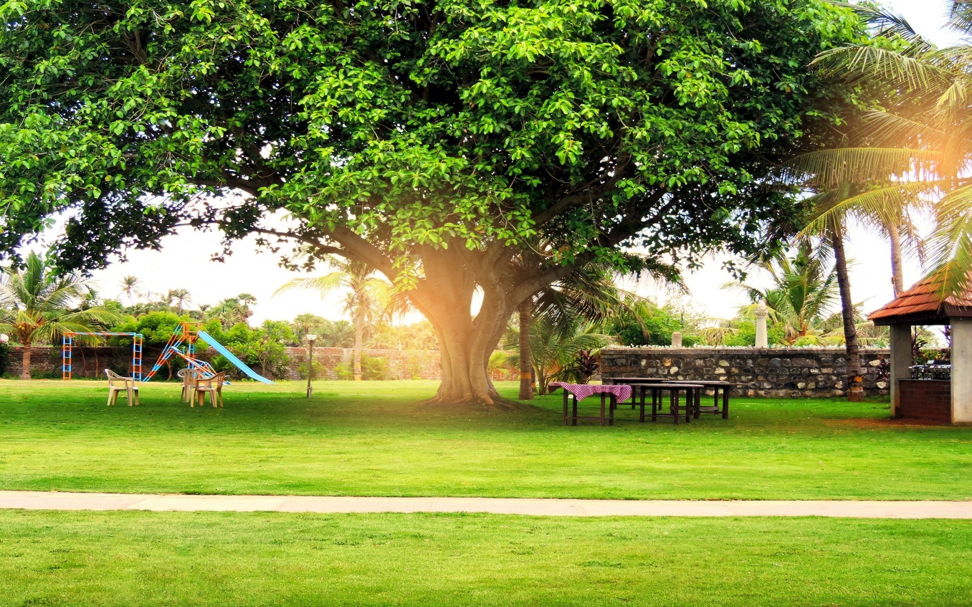 diğer şehirler ağaç çimen yaz bahçe ahşap park doğa çim manzara açık havada flora seyahat güzel tatil ahşap rekreasyon manzara