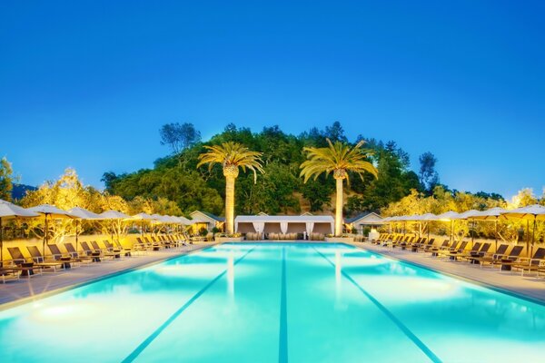 Blue pool. Tall palm trees