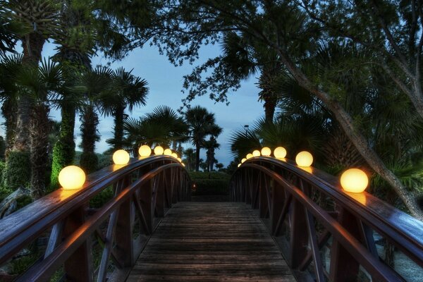 Puente con linternas brillantes entre los árboles