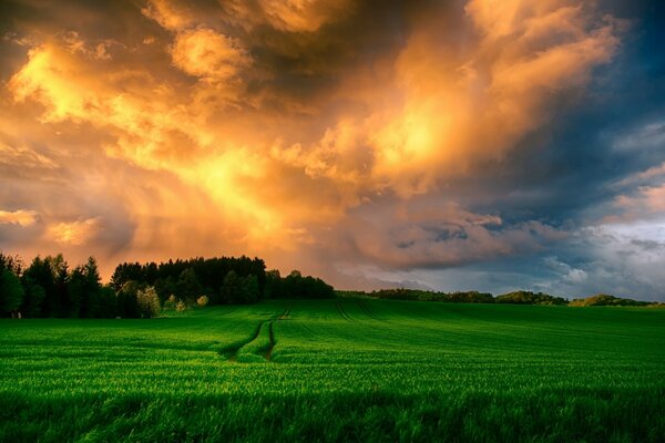 Ländliche Feldlandschaft auf bewölktem Himmel Hintergrund