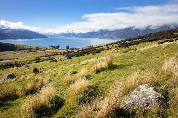 Landscape of nature on a beautiful background of the sea