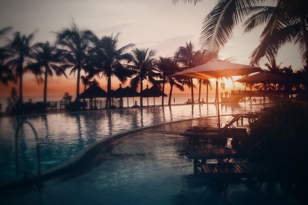 Resort-Strand mit tropischen Bäumen im Hintergrund des Sonnenuntergangs