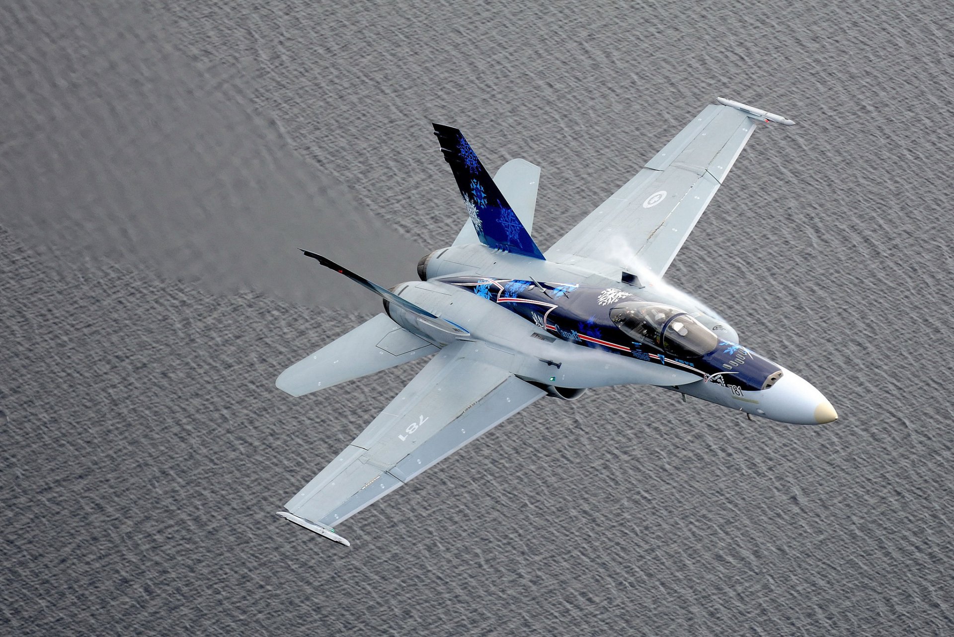 cf-18 шершень истребитель перехватчик