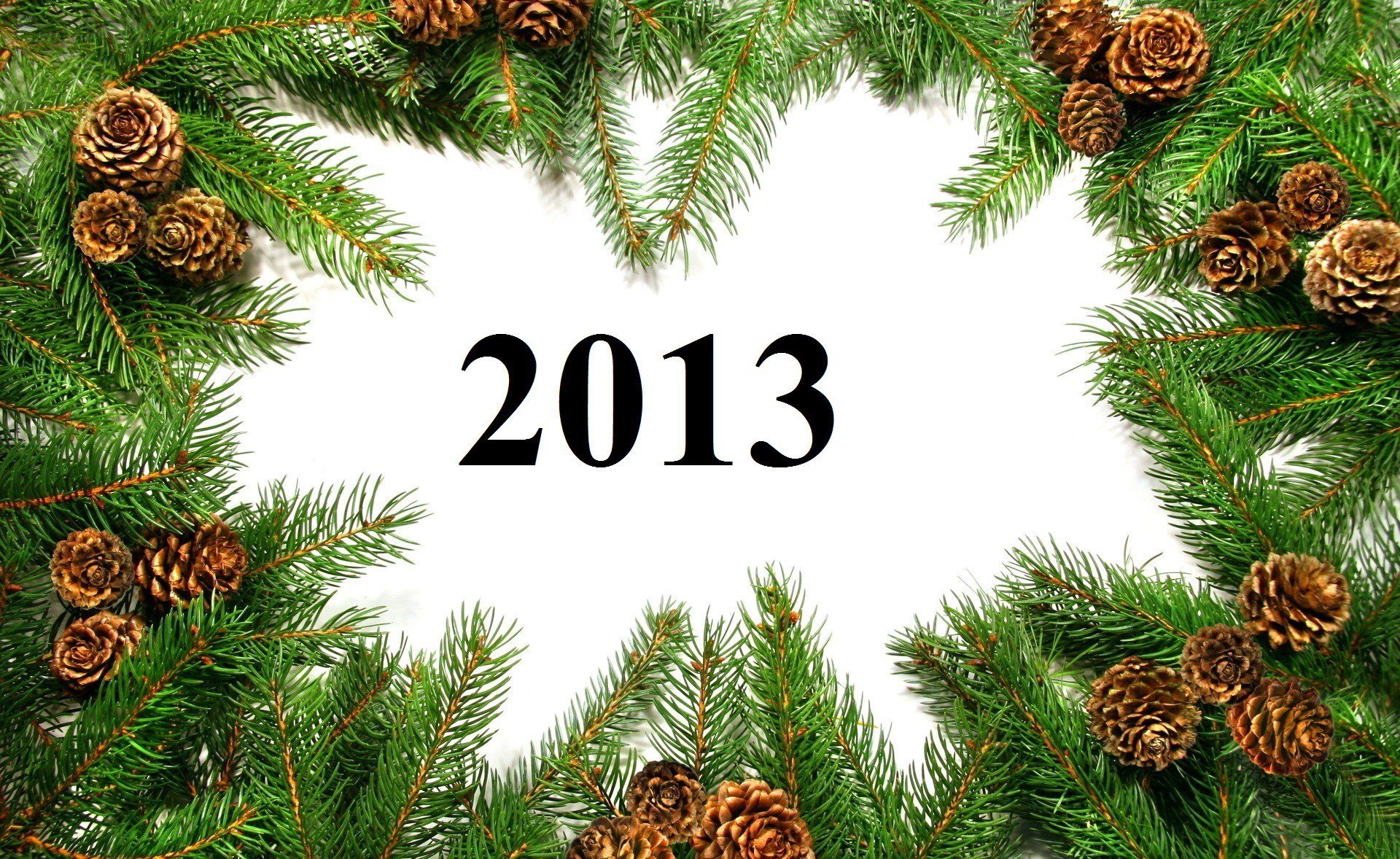 с новым годом новый 2013 год ветки шишки